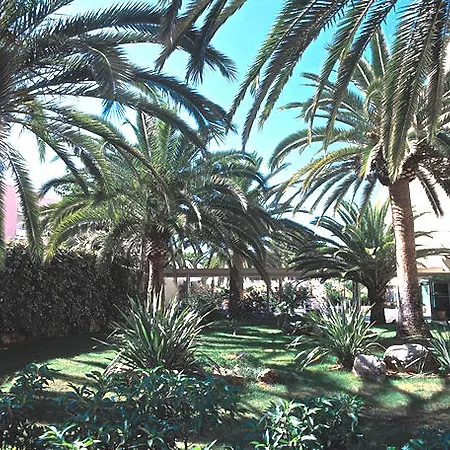 Hotel Palmira Isabela 3*