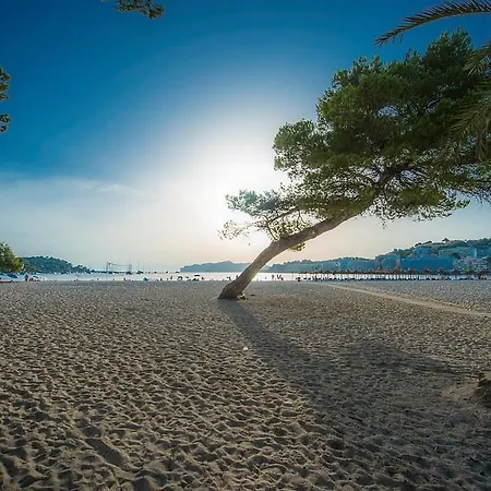 Apartment Flipflop Surfing Playa Santa Ponsa