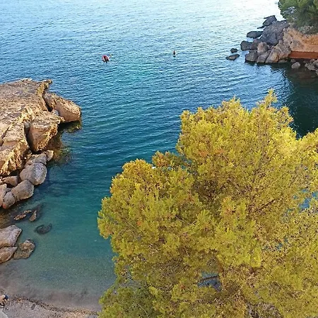 Apartamento Piso Primera Linea En Frente Al Mar *