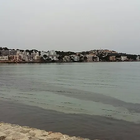 Apartment Carlos Ii