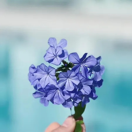 Sky Senses Hotel